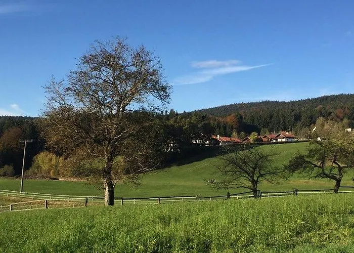 Apartman Waldblick 502
