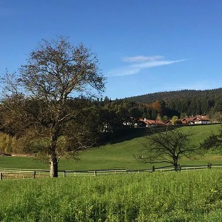 Apartment Waldblick 502