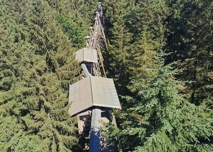شقة Waldblick 502